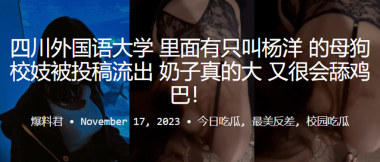 四川外国语大学里面有只叫杨洋的母狗校妓被投稿流出奶子真的大又很会舔鸡巴